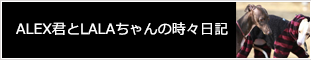 ALEX君とLALAちゃんの時々日記